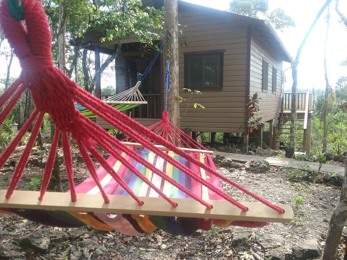 Hidden Haven Hostel Unitedville Buitenkant foto