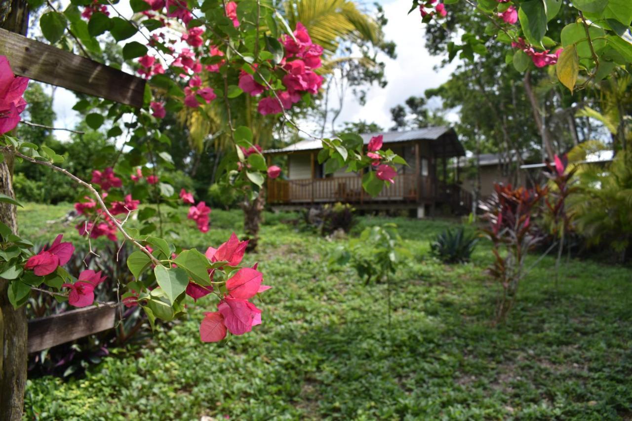 Hidden Haven Hostel Unitedville Buitenkant foto